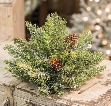 Frosted Spruce Half Sphere, 8